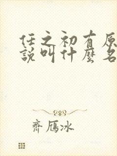 任之初有原著小说叫什么名字