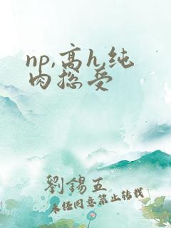 np,高h,纯肉总受