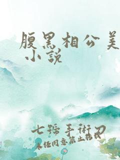 腹黑相公美如花 小说