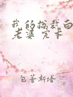 我的总裁白富美老婆 完本