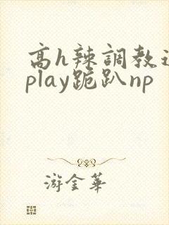 高h辣调教道具play跪趴np