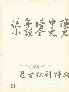 流年暗中换陆渊小说全文免费阅读正