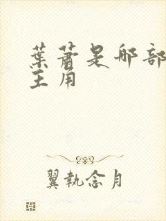 叶萧是哪部小说主角