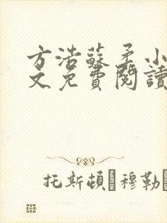 方浩苏柔小说全文免费阅读