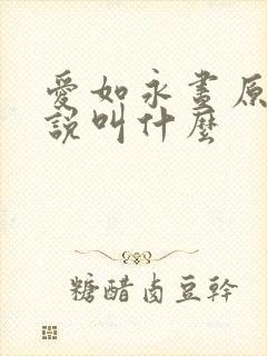爱如永昼原著小说叫什么