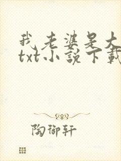 我老婆是大明星txt小说下载