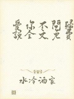 爱你不问归期小说全文免费阅读