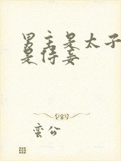 男主是太子女主是侍妾