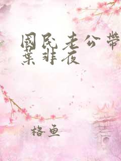 国民老公带回家叶非夜