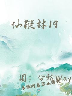仙踪林19