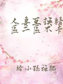 人妻互换精品一区二区不卡av