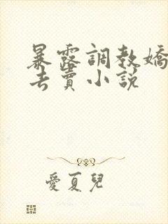 暴露调教娇妻出去卖小说