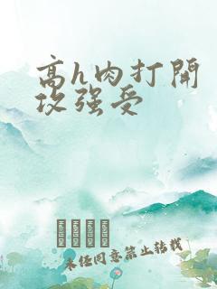 高h肉打开 弱攻强受