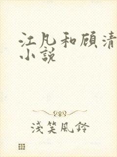 江凡和顾清雪的小说