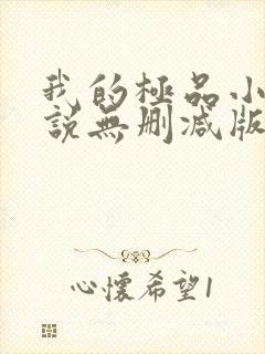 我的极品小姨小说无删减版