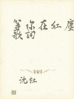 等你在红尘中的歌词