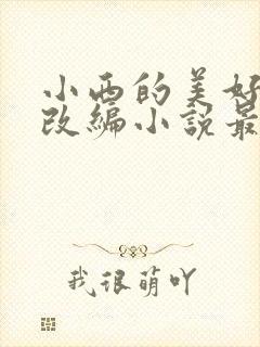 小西的美好河山改编小说最新章节