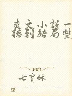 爽文小说一口气听到结局双男主