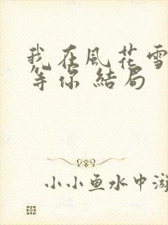 我在风花雪月里等你 结局