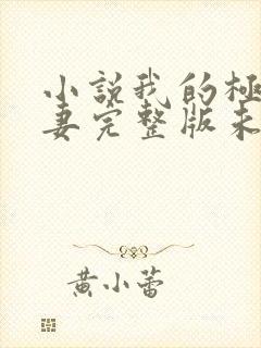 小说我的极品娇妻完整版未删减小说