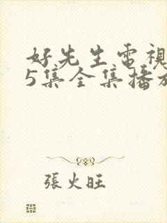 好先生电视剧45集全集播放免费