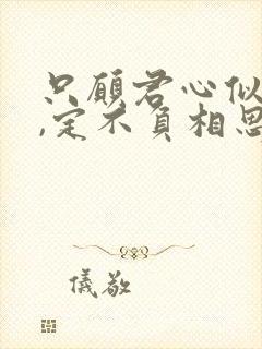 只愿君心似我心,定不负相思意的含义