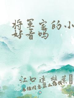 将军家的小娘子好看吗