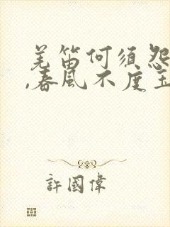 羌笛何须怨杨柳,春风不度玉门关的意思