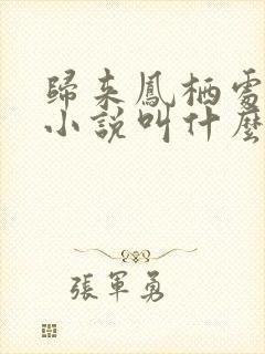 归来凤栖处原著小说叫什么名字