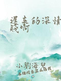 迟来的深情比草贱啊