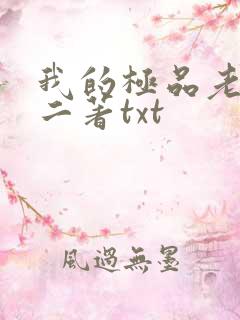 我的极品老婆小二著txt