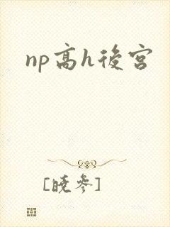 np高h后宫