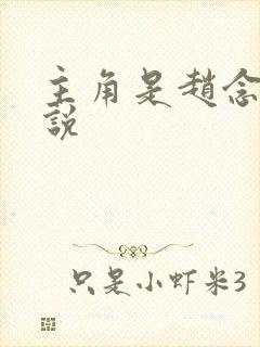 主角是赵念的小说