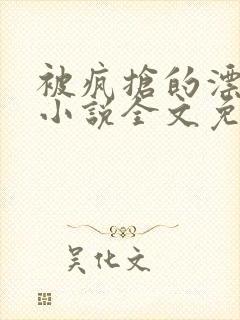 被疯抢的漂亮攻小说全文免费阅读无弹窗