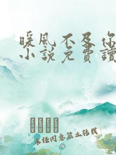 暖风不及你情深小说免费读