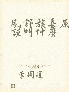 风舒族长原著小说叫什么