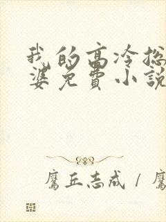 我的高冷总裁老婆免费小说