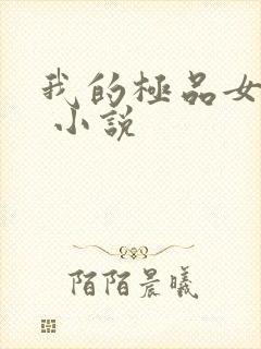 我的极品女总裁 小说