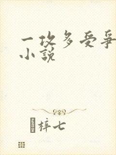 一攻多受争宠的小说