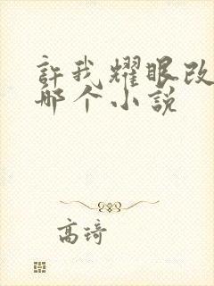 许我耀眼改编自哪个小说