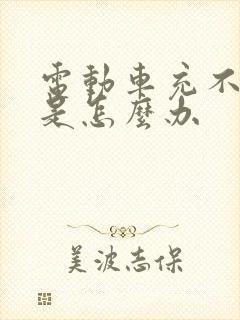 电动车充不进电是怎么办