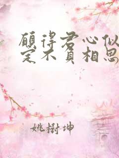 愿得君心似我心定不负相思意