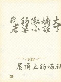 我的傲娇大小姐老婆小说下载txt