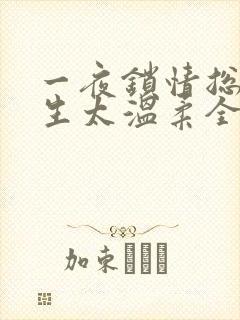 一夜锁情总裁先生太温柔全文免费