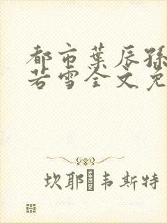 都市叶辰孙怡夏若雪全文免费阅读