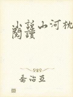 小说山河枕全文阅读