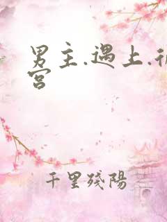 男主.遇上.后宫