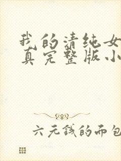 我的清纯女友小真完整版小说
