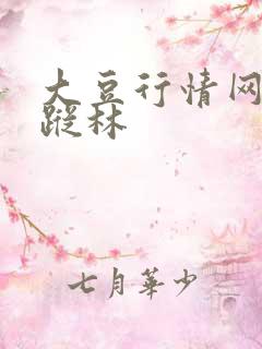 大豆行情网之仙踪林