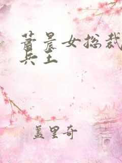 萧晨女总裁全能兵王